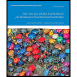 Social Work Experience   Text Only 7TH 18 Edition, by Mary Ann Suppes and Carolyn Cressy Wells - ISBN 9780134544854