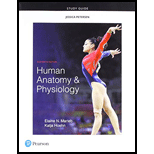 Human Anatomy and Physiology - Study Guide 11th edition (9780134760230 ...