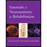 Essentials of Neuroanatomy for Rehabilitation