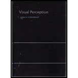 Visual Perception