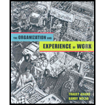 Organization and Experience of Work