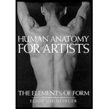 Human Anatomy for Artists