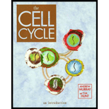 Cell Cycle  An Introduction