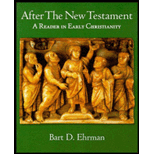 After the New Testament  A Reader in Early Christianity