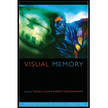 Visual Memory