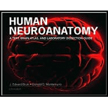 Human Neuroanatomy