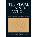 Visual Brain in Action