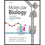 Molecular Bio Principles of Genome Funct (Cl)