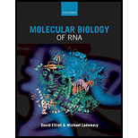 Molecular Biology of RNA