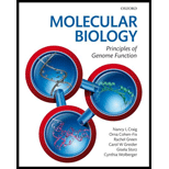 Molecular Biology Principles of Genome Function