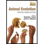 Animal Evolution