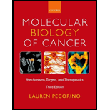 Molecular Biology of Cancer