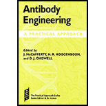 Antibody Engineering