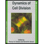 Dynamics of Cell Division