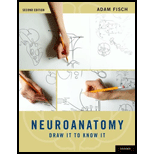 Neuroanatomy  Draw It To Know It