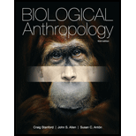 Biological Anthropology