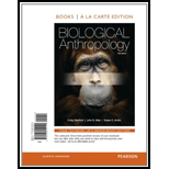 Biological Anthropology (Looseleaf)