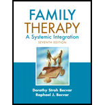 Family Therapy A Systemic Integration