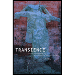 Transience  Chinese Experimental Art at the End of the Twentieth Century