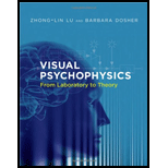 Visual Psychophysics From Laboratory to Theory