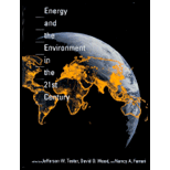 Energy and the Environment in the 21st Century