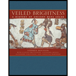 Veiled Brightness A History of Ancient Maya Color