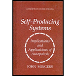 Self Producing Systems