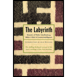 Labyrinth  Memoirs of Walter Schellenberg, Hitlers Chief of Counterintelligence