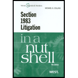 Section 1983 Litigation in a Nutshell