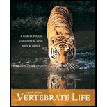 Vertebrate Life