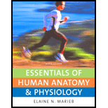 Essentials of Human Anatomy and Physiology Package