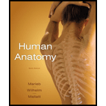 Human Anatomy Text