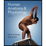 Human Anatomy and Physiology  Package