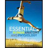 Essentials of Human Anatomy and Physiology   With CD