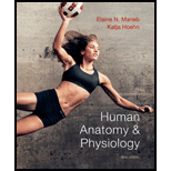 Human Anatomy and Physiology   Text Only 9TH 13 Edition, by Elaine N Marieb - ISBN 9780321743268