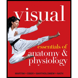 Visual Essentials of Anatomy and Physiology   With CD