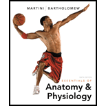 Essentials of Anatomy and Physiology With Cd and Access