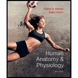 Human Anatomy and Physiology (Looseleaf) Package