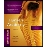 Human Anatomy, Media Update   Package