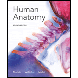 Human Anatomy by Elaine N. Marieb - ISBN 9780321822413
