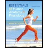 Essentials of Human Anatomy and Phys.   With Access