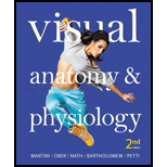 Visual Anatomy and Physiology