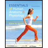 Essentials of Human Anatomy and Physiology 11TH 15 Edition, by Elaine N Marieb - ISBN 9780321919007