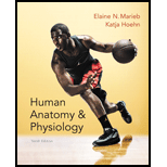 cover of Human Anatomy and Physiology (10th edition)