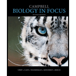 cover of Campbell Biology in Focus - Text Only (2nd edition)