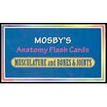 Anatomy Flash Cards  Musculature and Bones and Joints