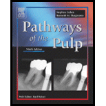 Pathways of the Pulp