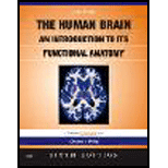 Human Brain An Introduction to its Functional Anatomy