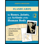 Flashcards for Bones, Joints, and Actions of the Human Body Reprint