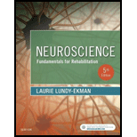 Neuroscience: Fundamentals For Rehabilitation 5th Edition ...